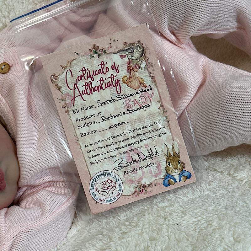 Reborn Sarah Antonio sanchis bald silicone cuddle baby - Image 3