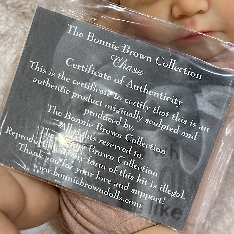 Reborn chase Bonnie brown girl - Image 3