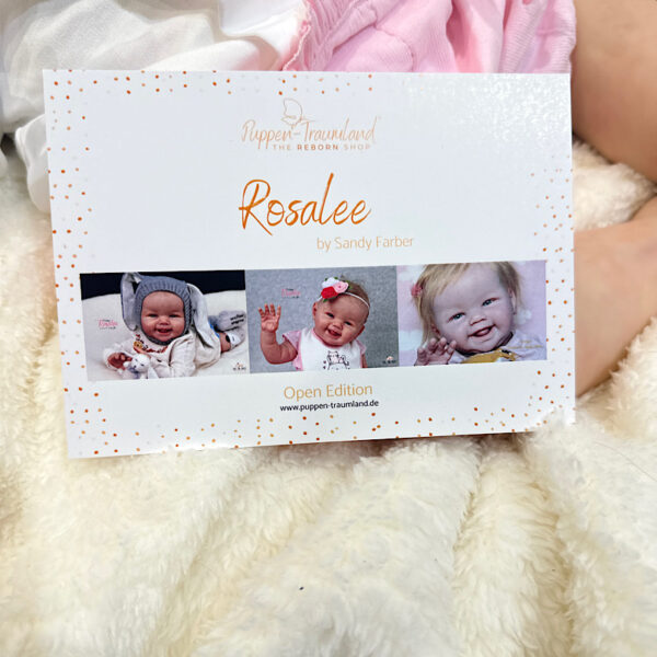 Reborn Ross 3/6 month toddler Sandy faber - Image 2